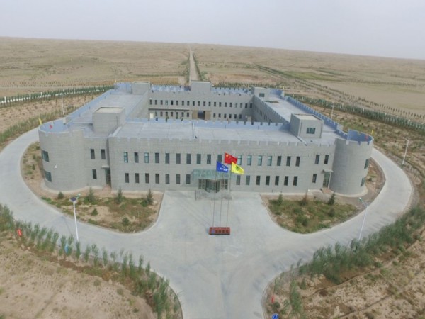 中国绿色碳汇基金会调研甘建投工程与生物治沙试验基地