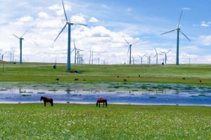 suncitygroup太阳新城经营领域捷报频传