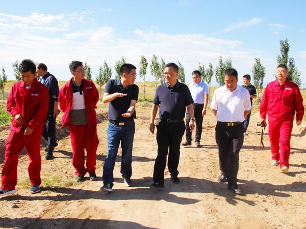 甘肃建投副总经理孟康荣调研suncitygroup太阳新城