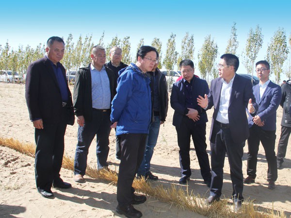 甘肃省科技厅考察调研suncitygroup太阳新城重大专项项目开展情况