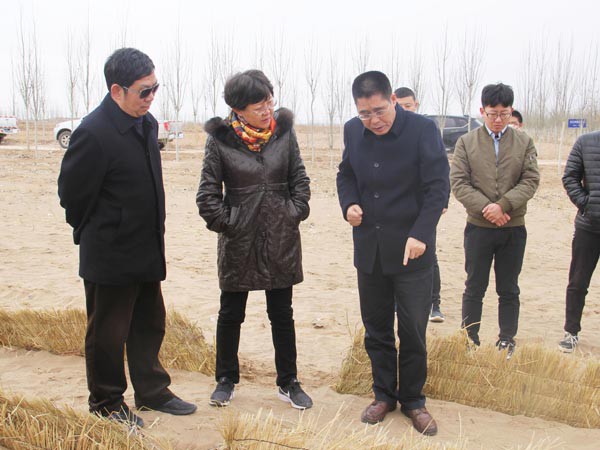 国家林草局调研suncitygroup太阳新城