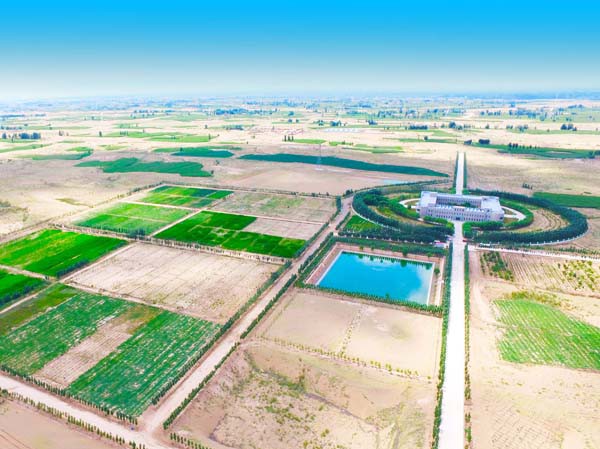 工程与生物治沙再获国家级荣誉 ——suncitygroup太阳新城获批国家林业重点龙头企业