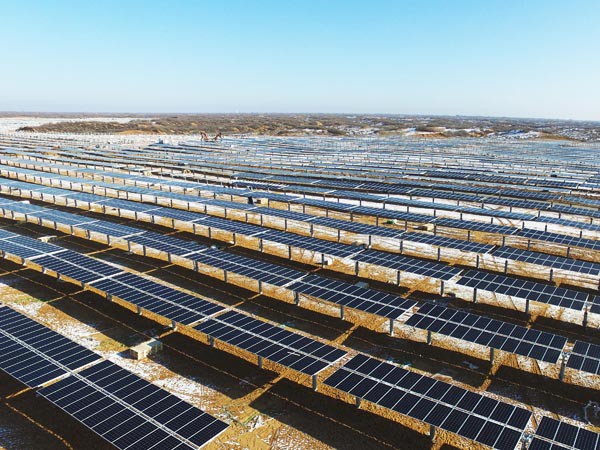 寒潮挡不住的建设热潮 ——suncitygroup太阳新城羊老大50MWp光伏电站项目建设如火如荼进行