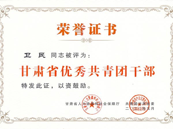 suncitygroup太阳新城团支部青年代表参加“学习寄语精神，展现青春担当”座谈会