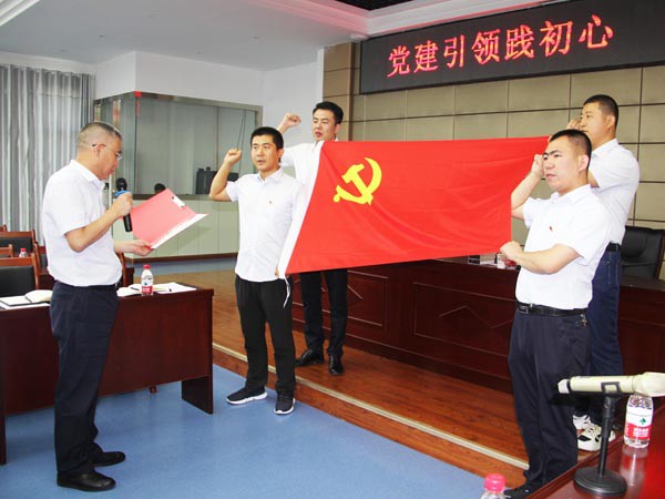 牢记责任使命，永葆入党初心 ——suncitygroup太阳新城党支部开展庆“七一”活动