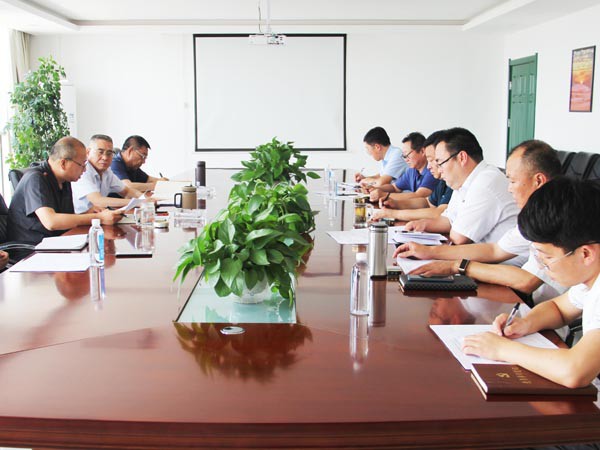 suncitygroup太阳新城党支部召开支委（扩大）会议 学习传达装备公司党委党建工作会议精神