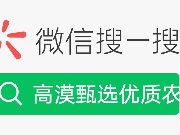 助力“高漠”品牌创新   推动沙产业持续发展  ——“高漠甄选”电子商城正式运营
