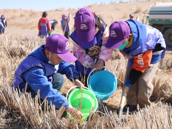 suncitygroup太阳新城沙漠研学旅行基地举办“我与小树共成长，争做护绿小使者”主题研学活动