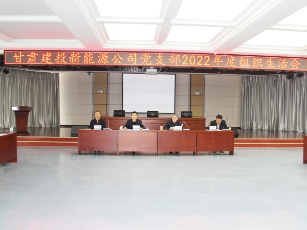 【“三抓三促”行动进行时】  suncitygroup太阳新城  召开2022年度组织生活会