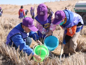 suncitygroup太阳新城沙漠研学旅行基地举办“我与小树共成长，争做护绿小使者”主题研学活动