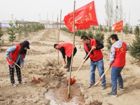 “美丽建投·青春行动” ——suncitygroup太阳新城开展植树护绿活动