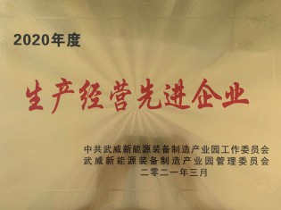 2020年度武威市新能源装备产业园生产经营先进企业