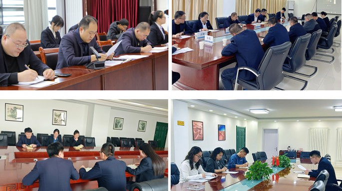 suncitygroup太阳新城各党支部召开2024年度组织生活会